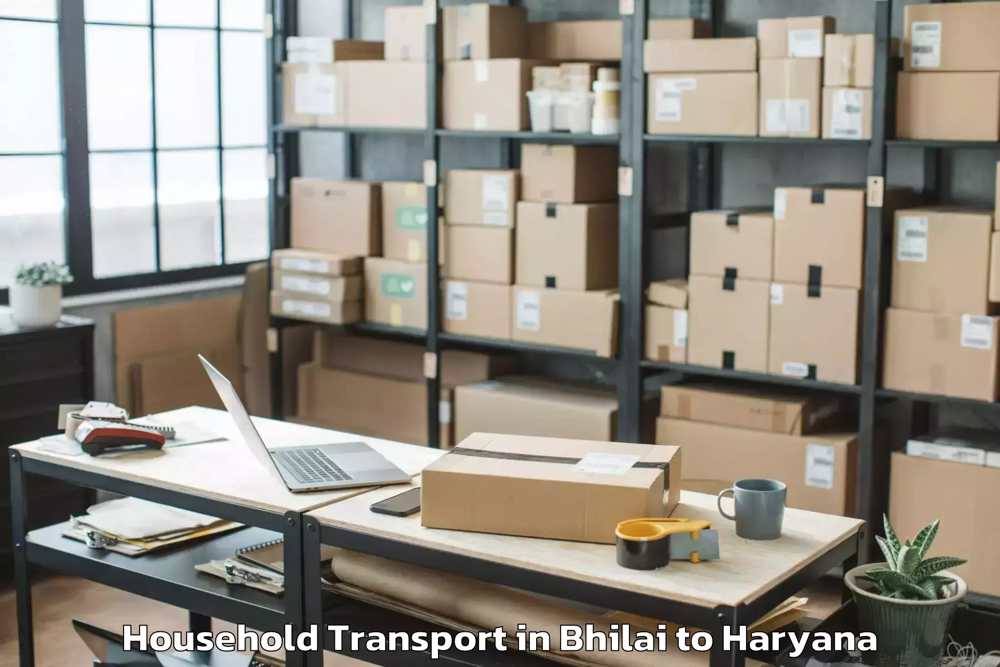 Professional Bhilai to Rewari Household Transport